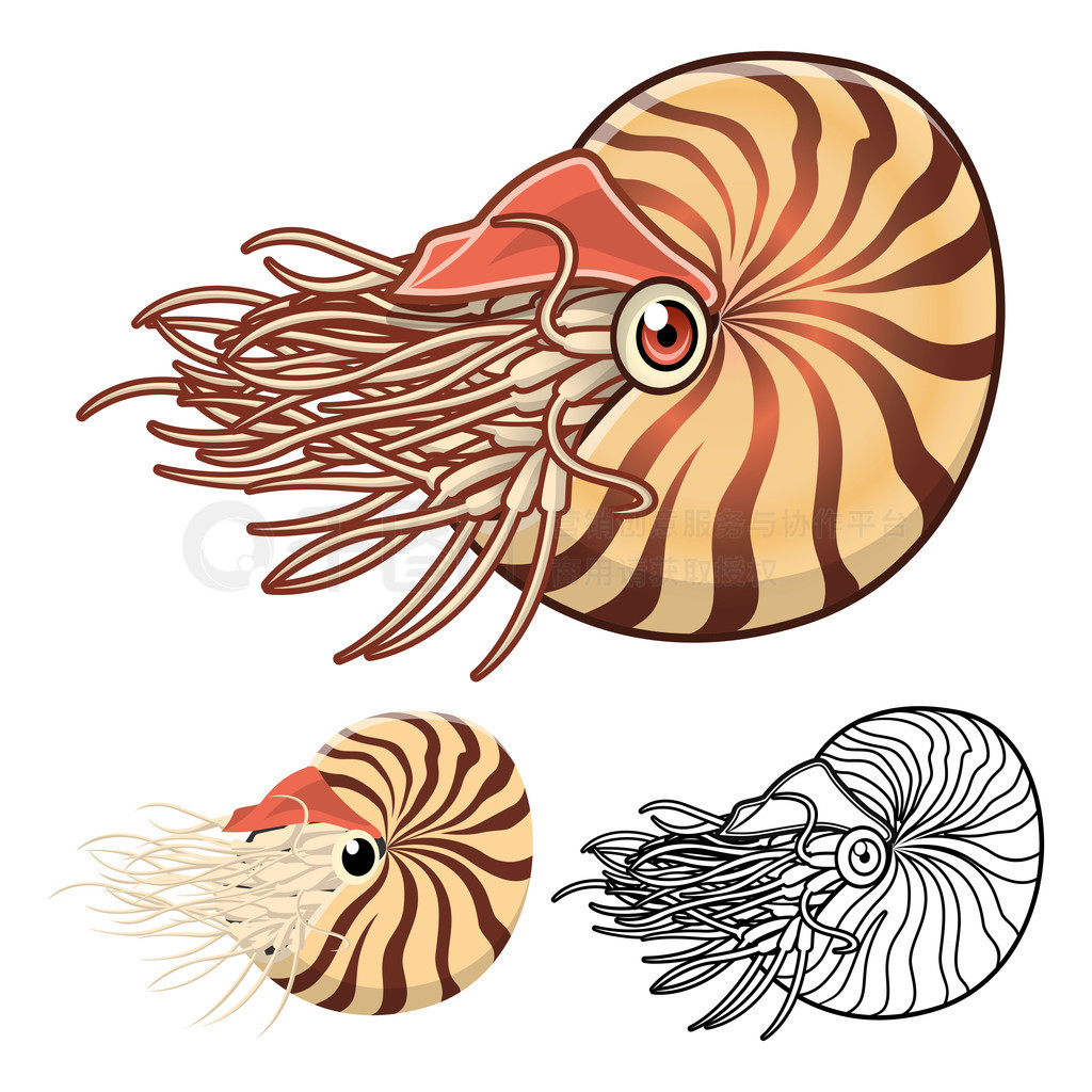 ƷʵNautilusͨƽƺƽ