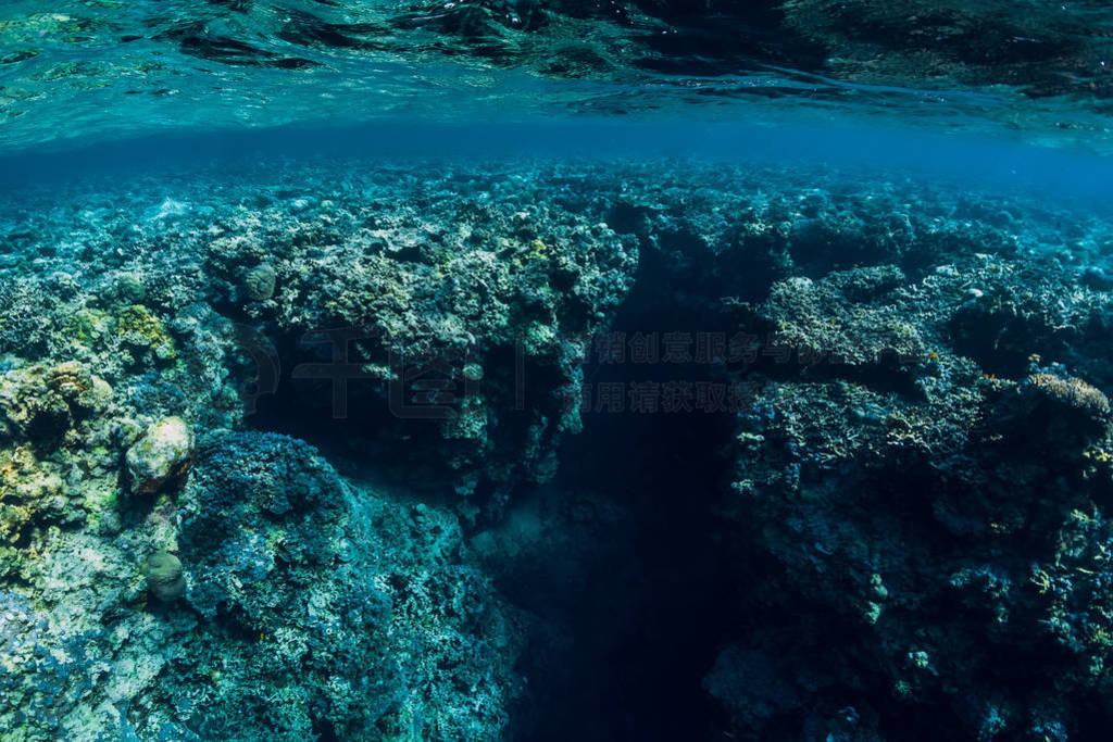 Underwater rocks with coral and fish in blue transparent ocean.