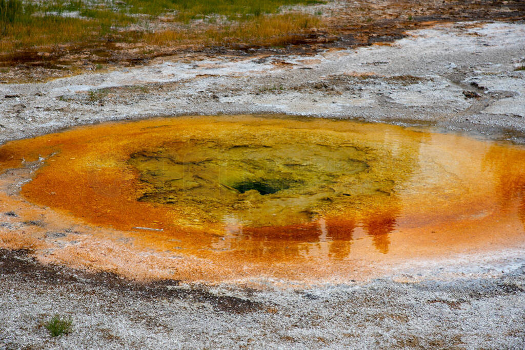 Geothermal feature at old faithful area at Yellowstone National