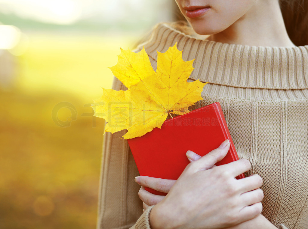 Herbst-Saison, Menschen und Lesung-Konzept. Frau mit Buch im wa