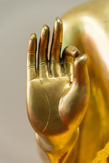 手长得像佛祖的手图片