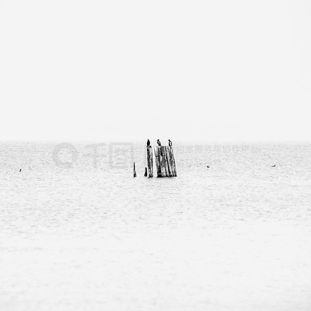 calm sea beach in summer with large rocks and wooden poles from