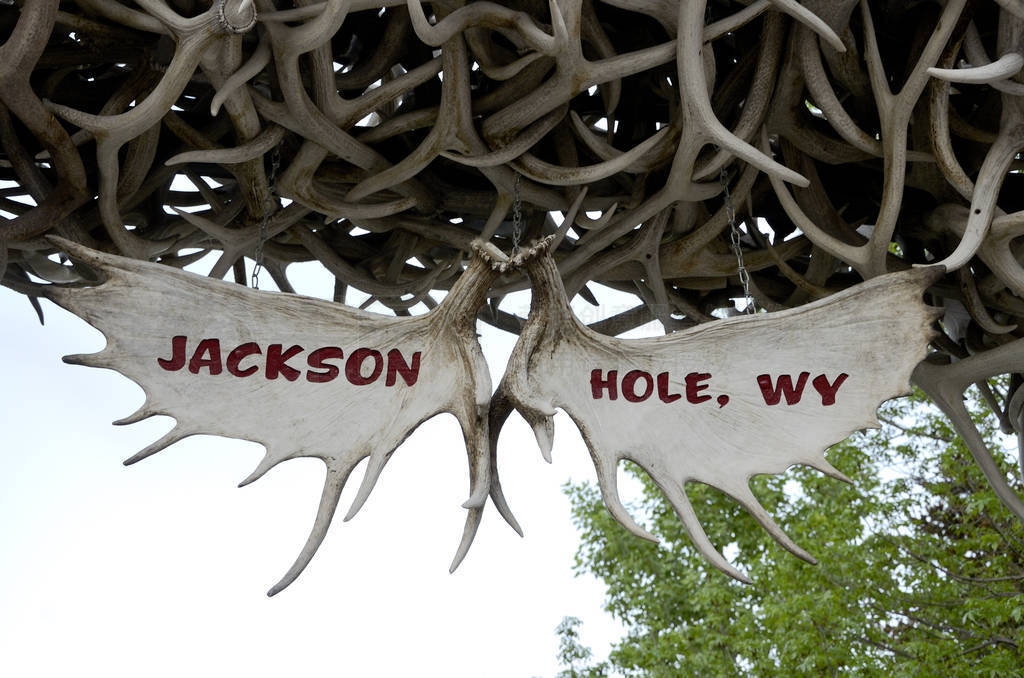 Elk antlers with the name of the city Jackson Hole.