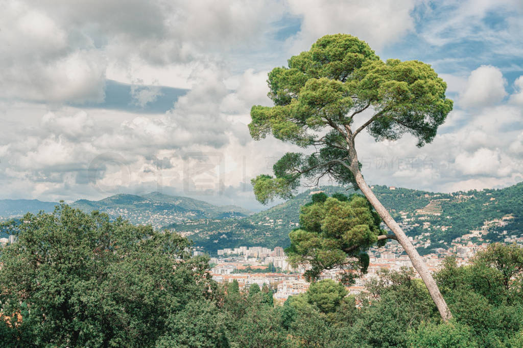 Colline du Colline du Chateauɽ˹ų