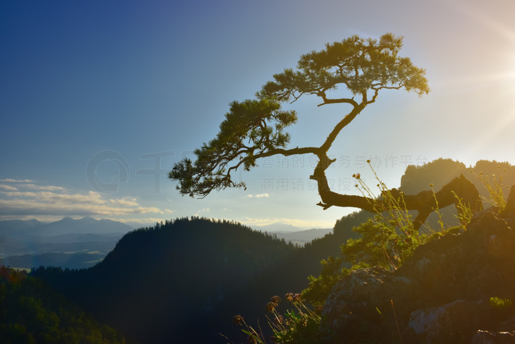 Sokolica ֵ Pieniny ɽճ