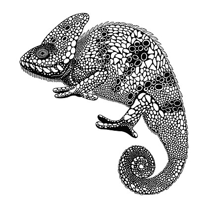 zentangle 程式化的变色龙手画的爬行动物矢量怡乐思