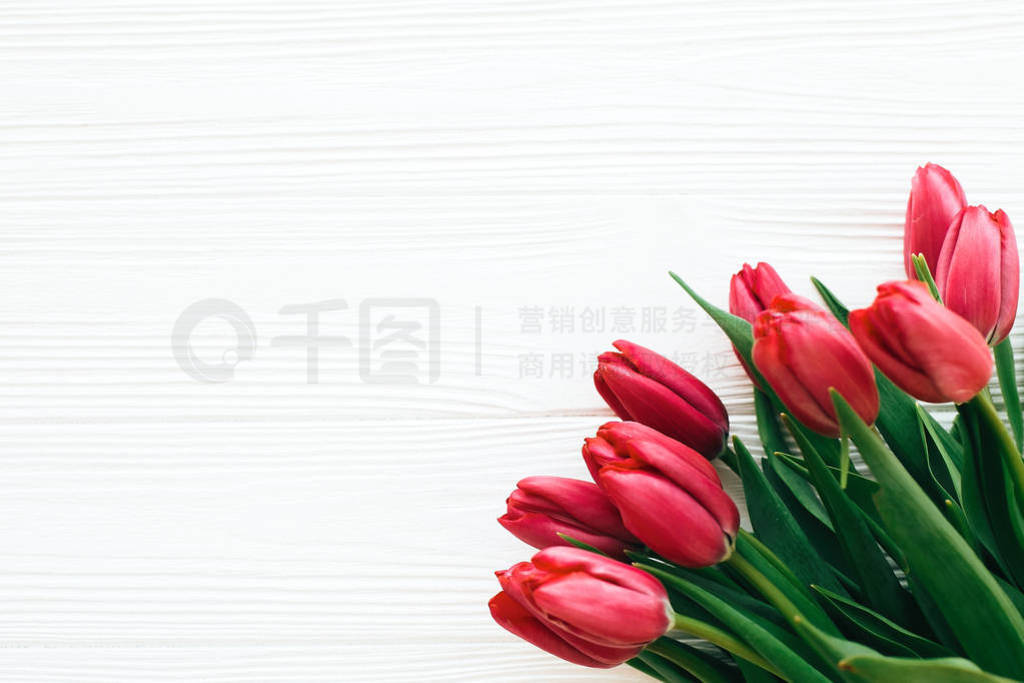 Beautiful red tulips on white wooden background in light. Happy
