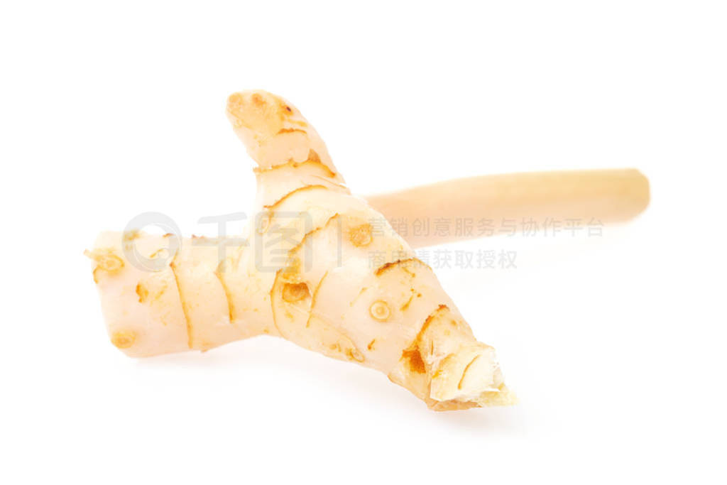 Macro image of thailand ginger - galangal root isolated at wite