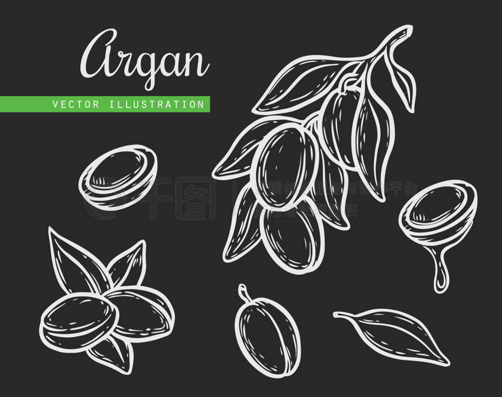 Argan , , ݮ, Ҷ, ֧, ֲ