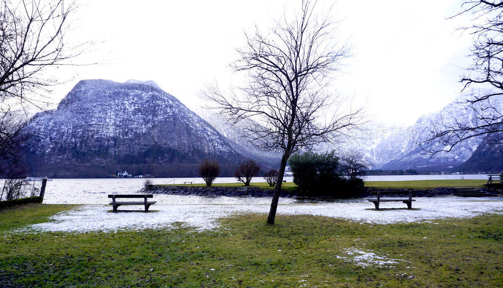 Scene of Hallstatt lake and green grass field outdoor and bench