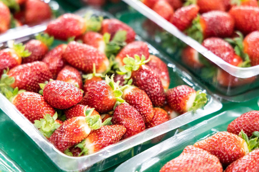 Freshly harvested organic strawberries packed for sale at farm