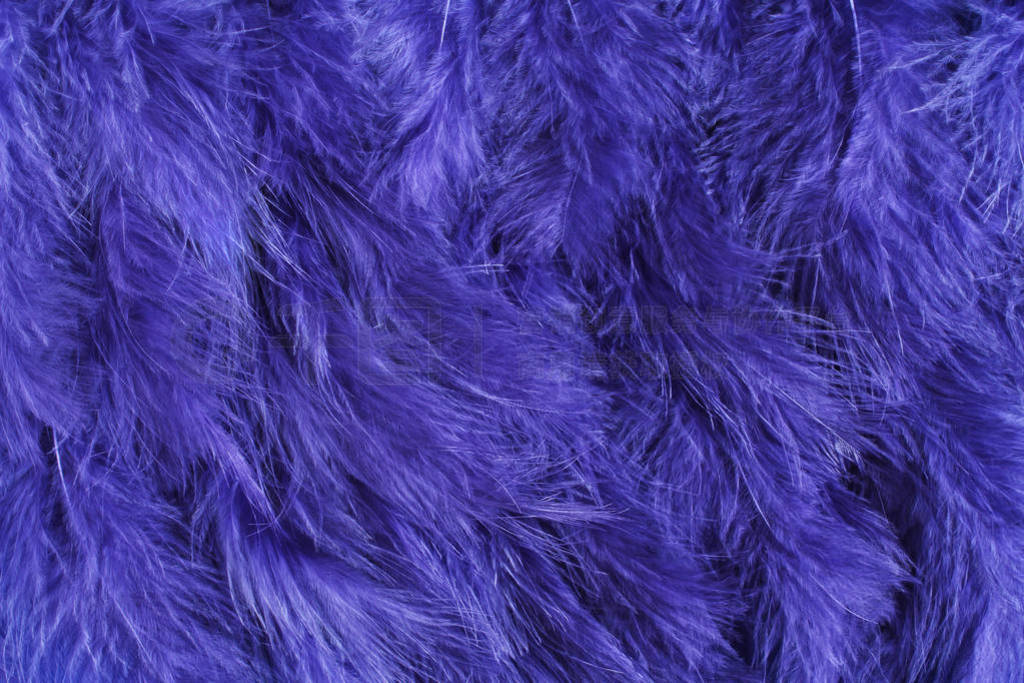 Background of small navy blue feathers.