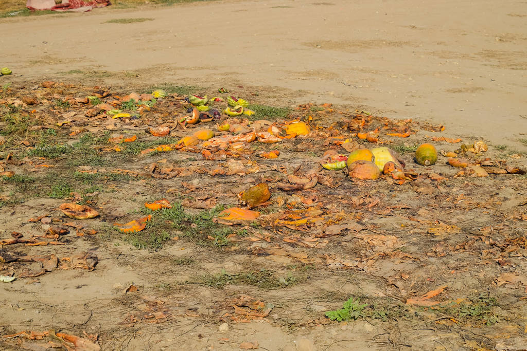 Heaps of rotting watermelons. Peel of melon. An abandoned field 图片免费下载 ...