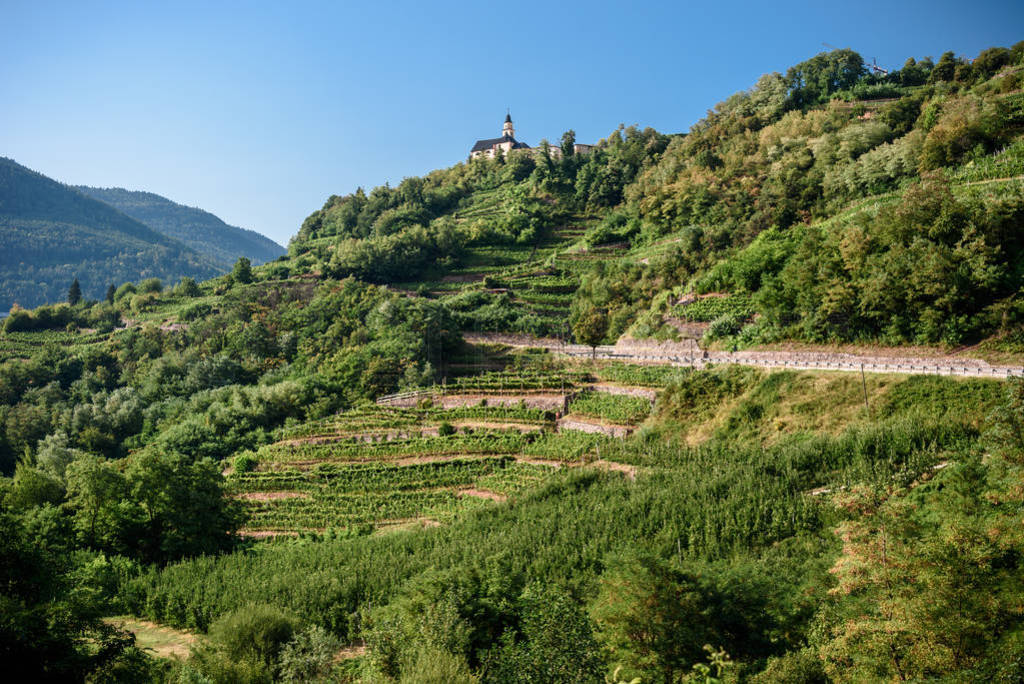 view of the val di Cembra