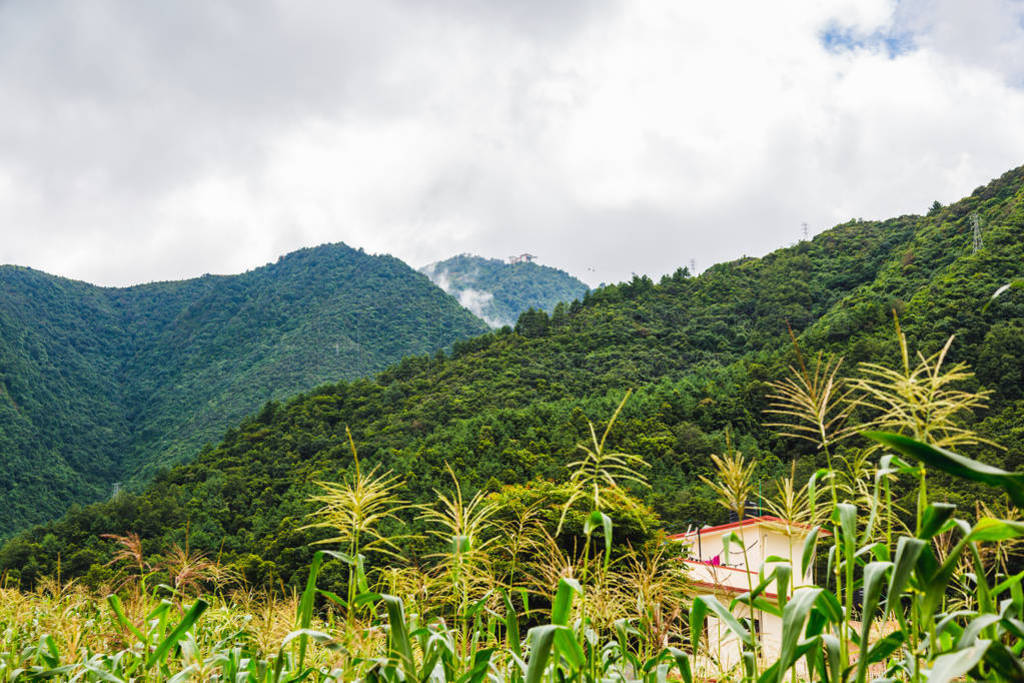 Ჴɫ羰, ϲɽĳ, Chandragiri ũׯ