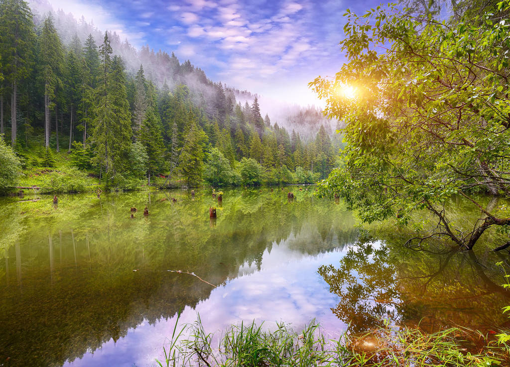 Majestic summer view of mountain lake Lacul Rosu or Red Lake or