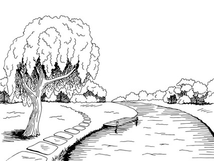公园河杨柳树图形艺术黑白色风景素描图矢量