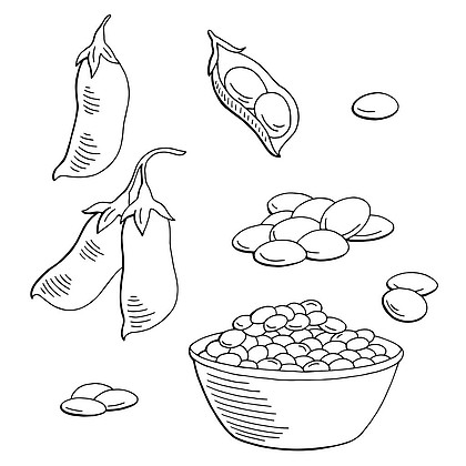 扁豆蔬菜图形黑色白色隔离草图集插图向量