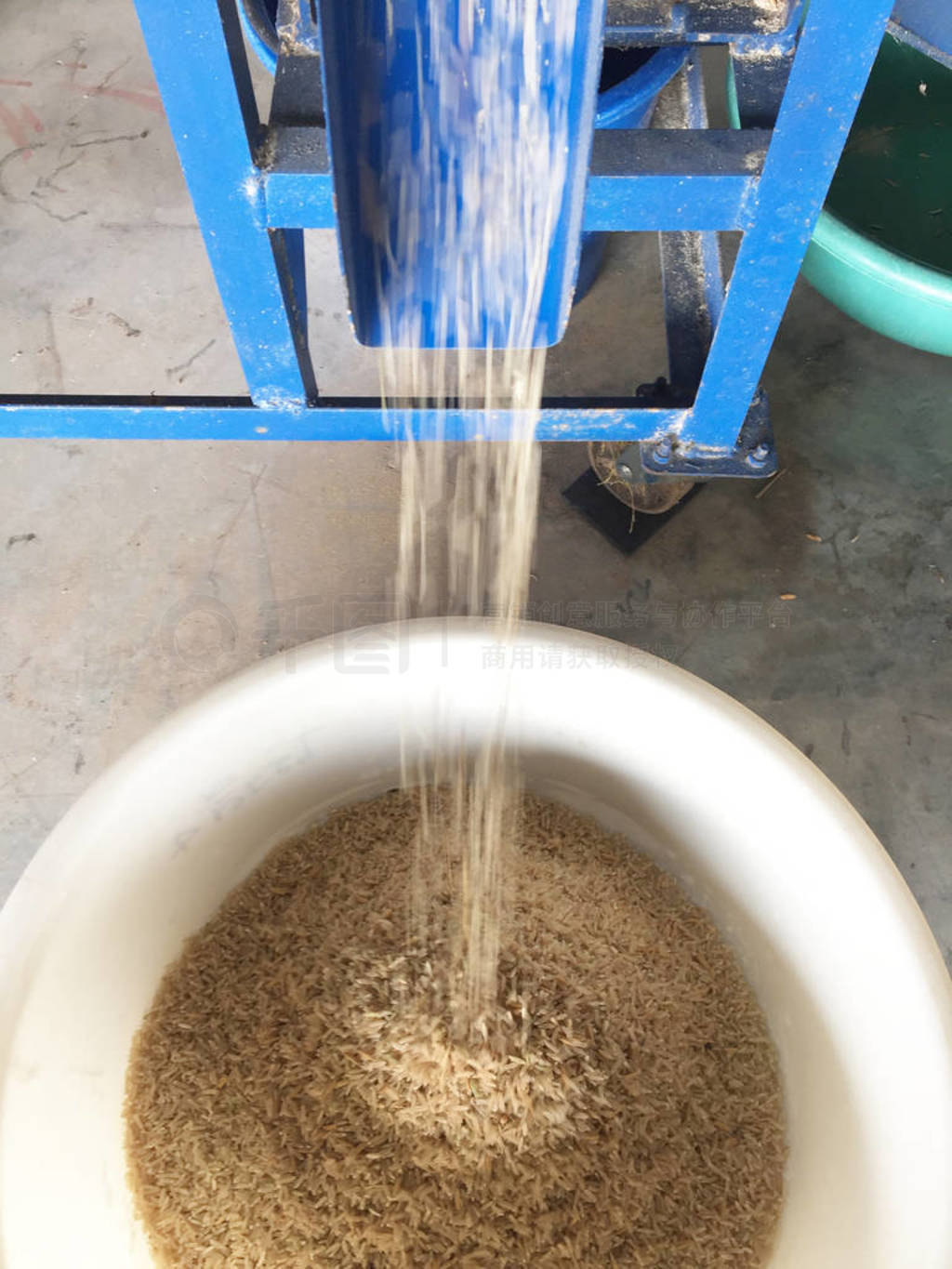 Brown rices were came out from the paddy separator machine. In