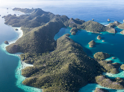 這個生物多樣性地區因其驚人的海洋生物而被稱為