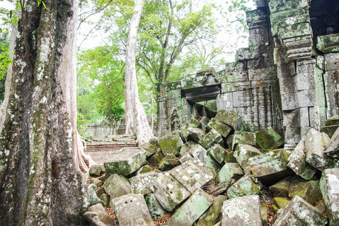 吴哥丛林废墟上的树木来了。 柬埔寨吴哥窟石门暹粒吴哥窟