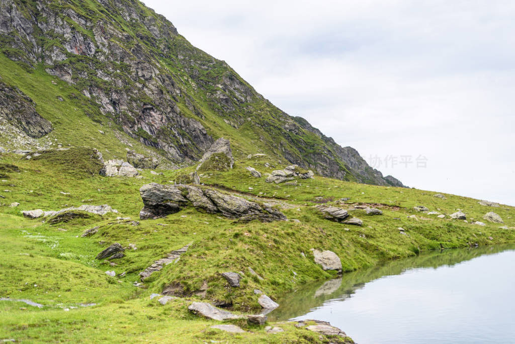 С Fagaras ɽ BaleaƵաŮ