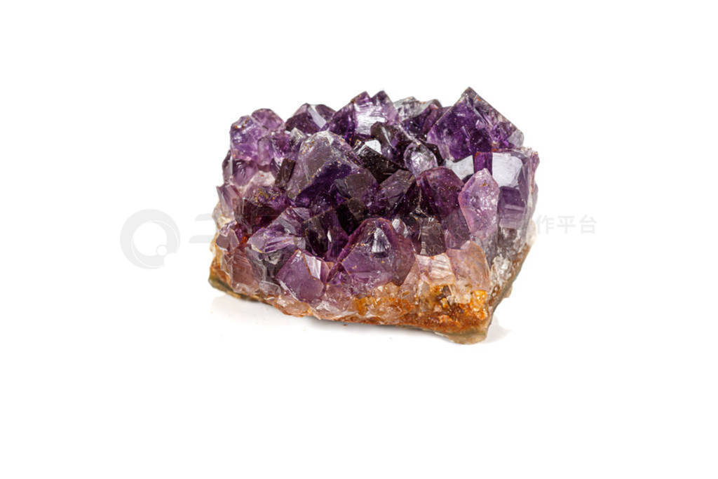 Amethyst Crystal Druse macro mineral on white background