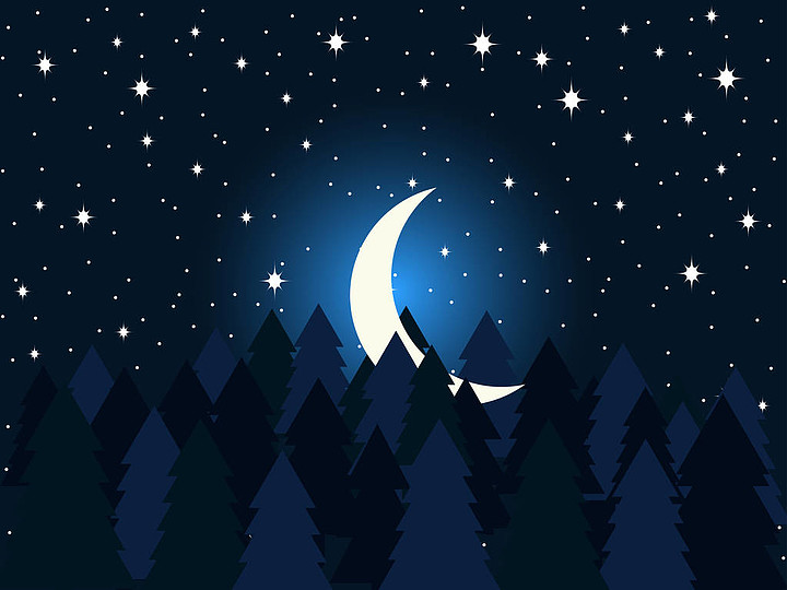 月亮在杉木树平午夜,一弯新月在满天星斗的天空云杉林矢量图