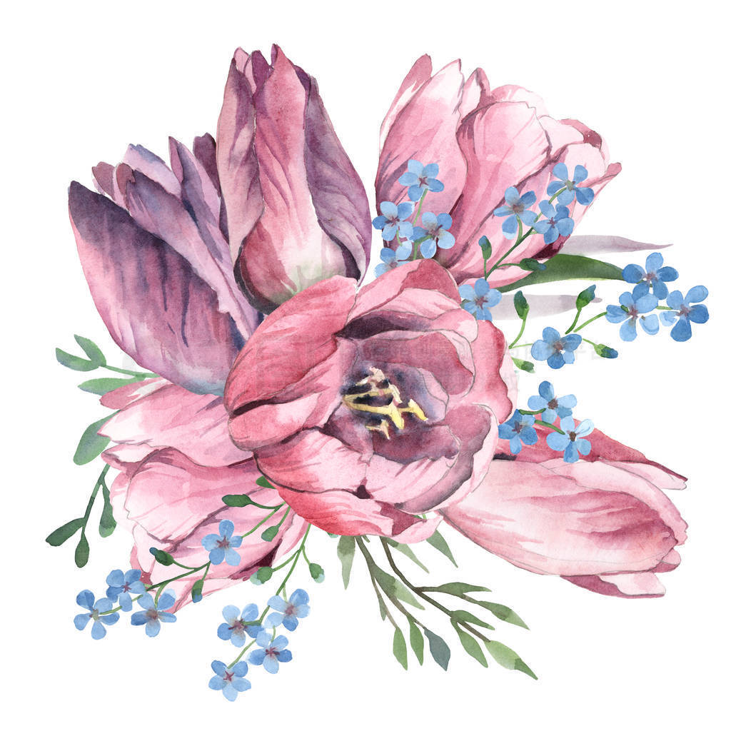 Watercolor bouquet of tulip and forget-me-not isolate in white