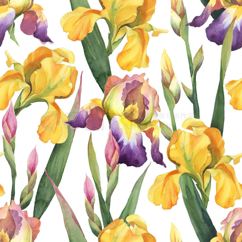 Seamless pattern of purple and yellow iris flowers and leaves i