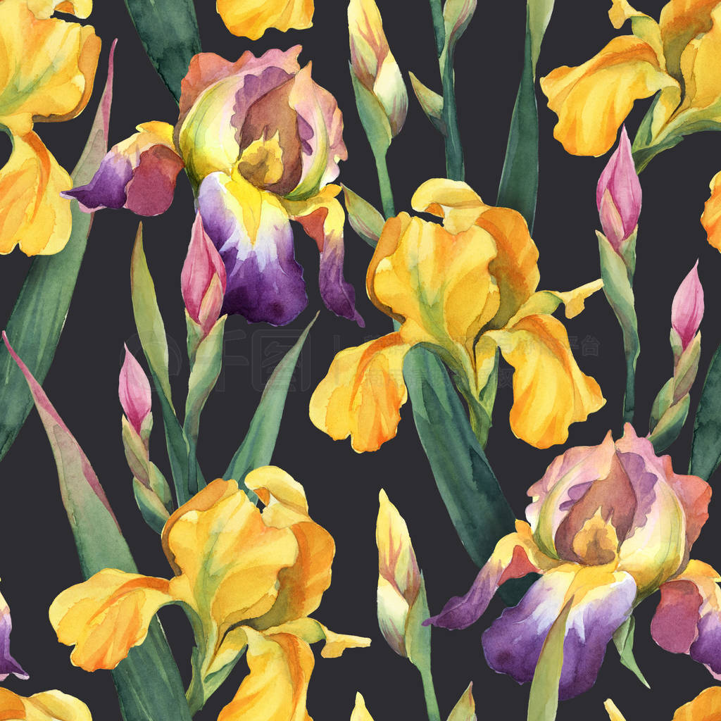Seamless pattern of purple and yellow iris flowers and leaves o