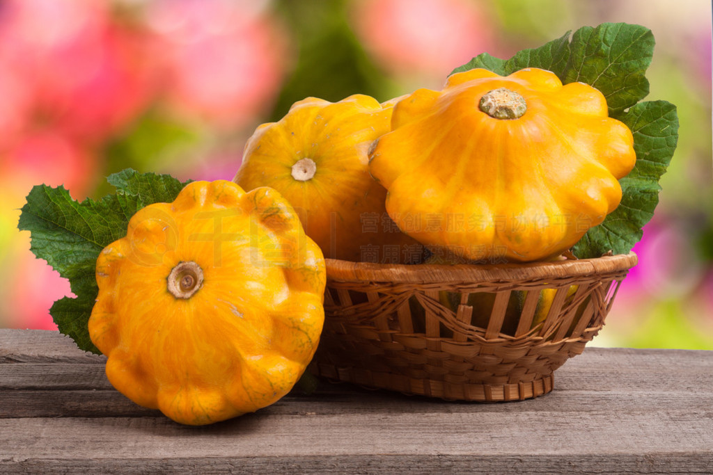 ҶľƵϵĻɫ pattypan Ϲģ