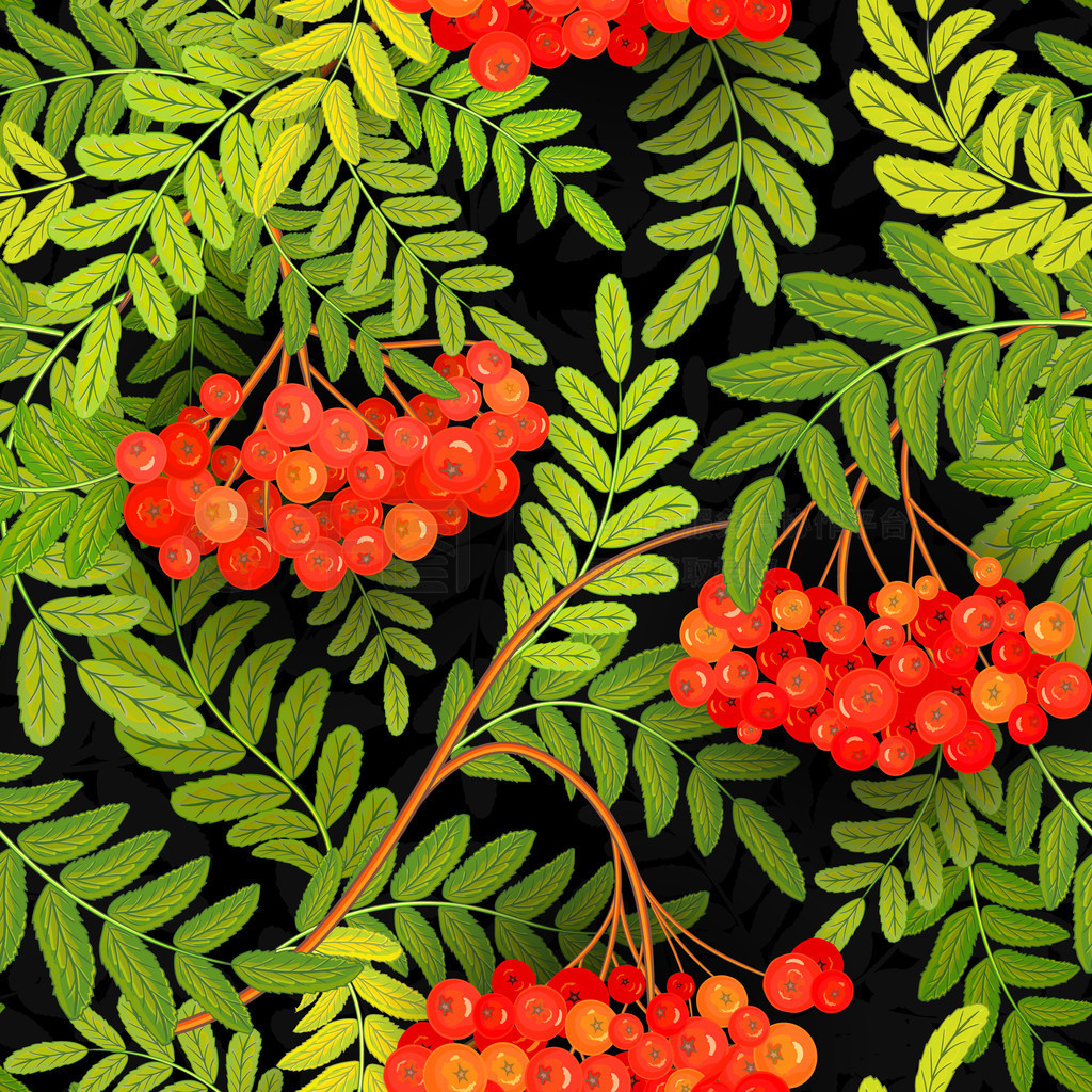 Ҷͻҽ rowanberry ޷ģʽʸͼ