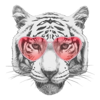 心型眼镜的老虎
