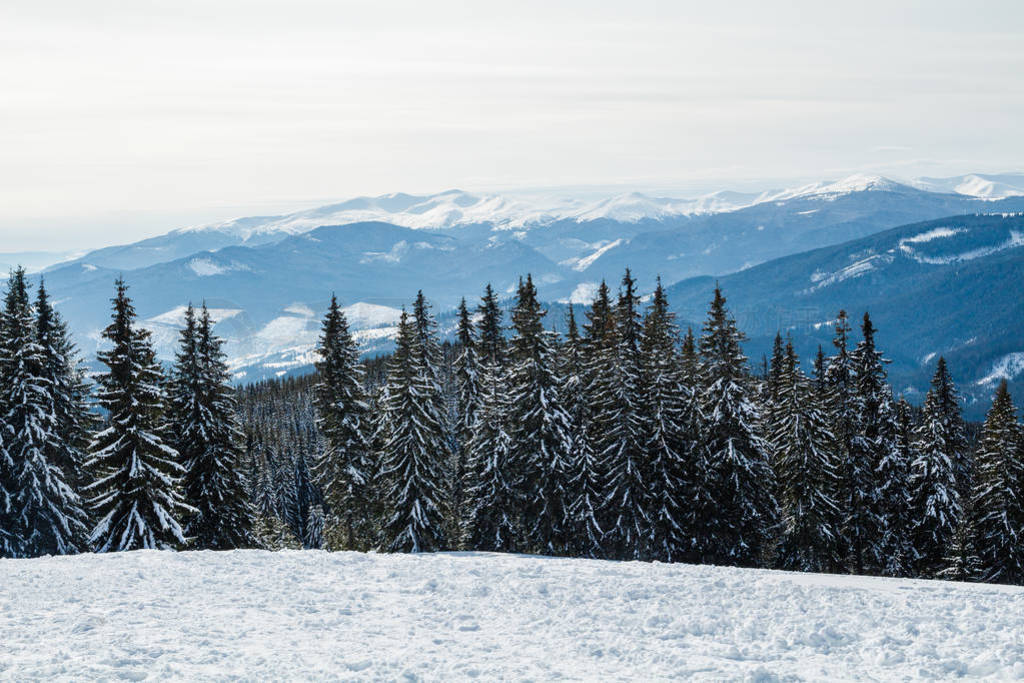 Bukovel ڶ졣ѩɽ塣ڿɽ Hoverla ɽ