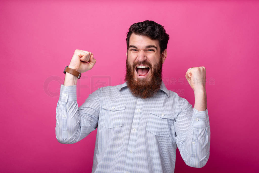 Young bearded man making the winner gesture on pink background.
