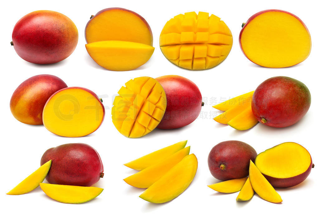 Collection mango fruit whole, half, slice and cubes isolated on