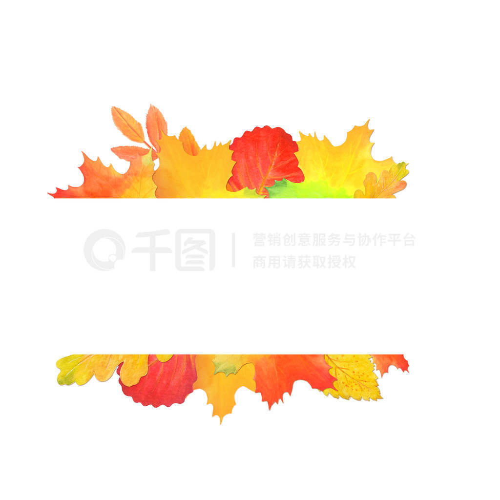 Frame for design with autumn leaves