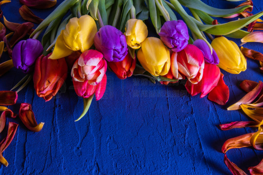 tulips on a spread out table near the petals