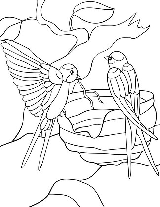 两个可爱的swallos在早午餐图片上筑巢放松成人和儿童的彩色书页