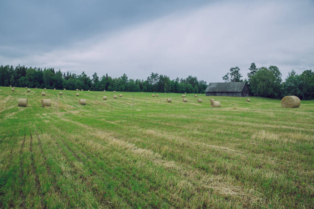 City Cesis, Latvia Republic. Overcast day, meadow hay rolls and