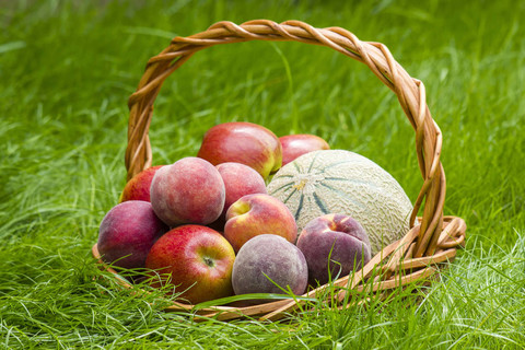夏天草地上篮子里的水果