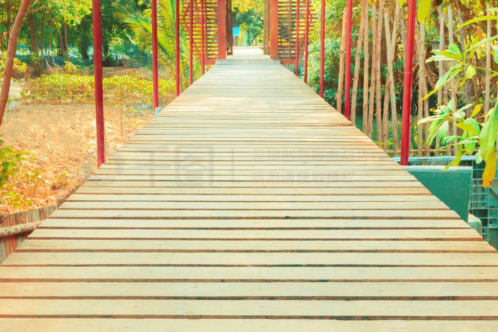 walkway wood bridge in natural mangrove forest environment