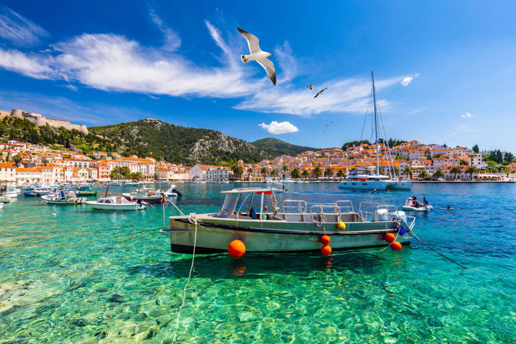 Hvar town with seagull's flying over city, famous luxury travel