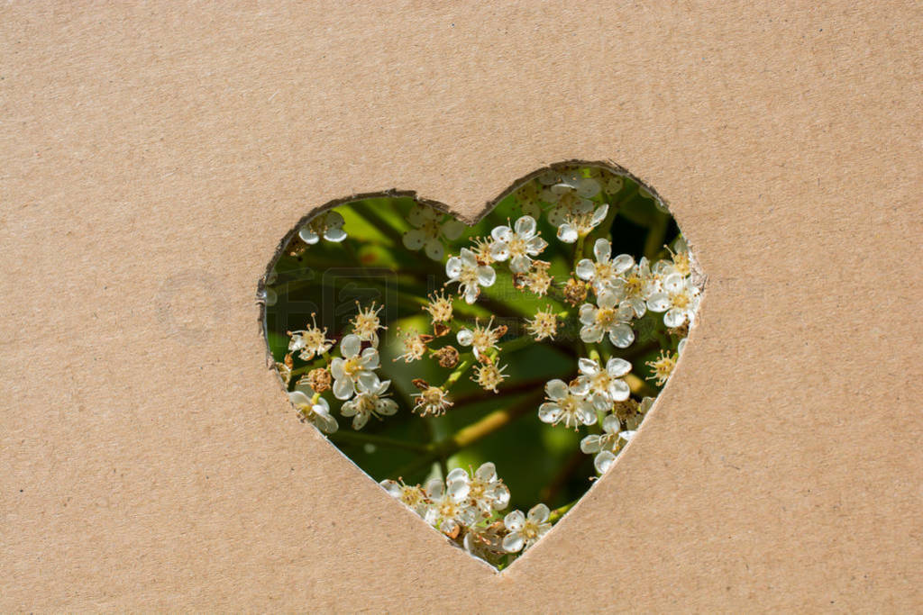 Flowers seen through heart shape