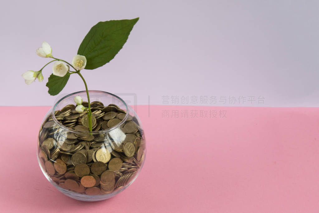 Save money concept. Vase with coins and grow plant flower