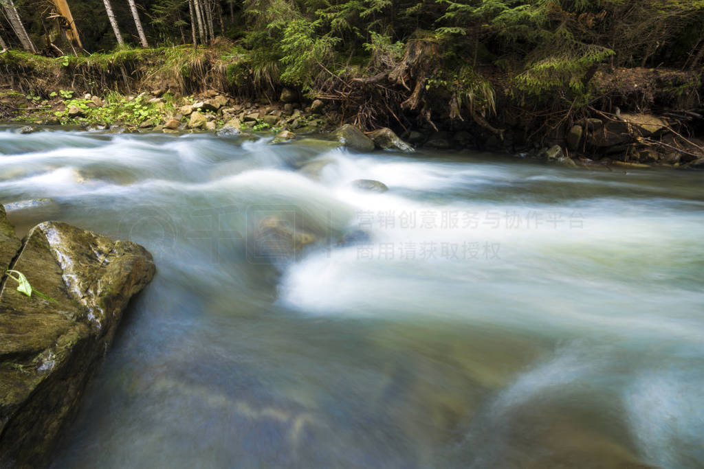 Fast flowing through wild green forest river with crystal clear