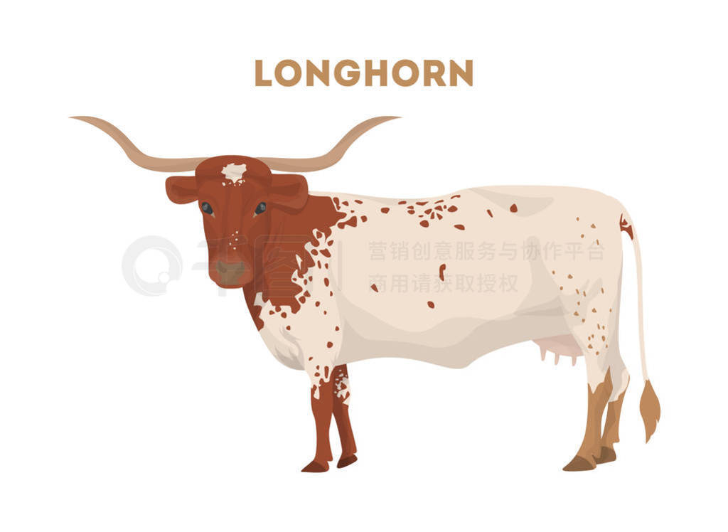  Longhorn ţ