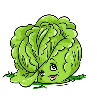 蔬菜字符白菜卡通