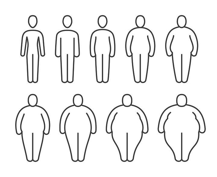 人体的不同比例肥胖分类矢量线图标